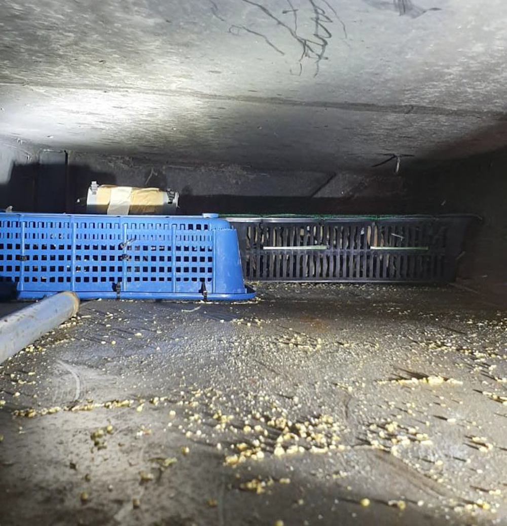 Containers of birds were found within modified compartments above the bus’ rear tyres. — Handout via TODAY