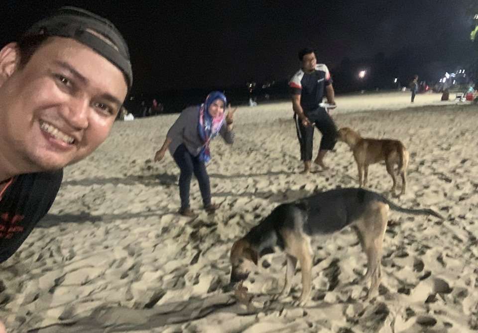 The two strays enjoying the BBQ chicken given by Tarmizi Adnan and his friends at Port Dickson recently. u00e2u20acu201d Facebook/ Tarmizi Adnan