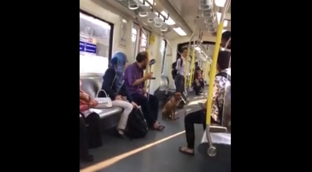 The stray dog scurried into the 8.24am train at the LRT Miharja Station yesterday. u00e2u20acu2022 Screengrab via Facebook/Elyana Nadia