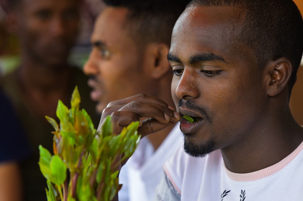 Ousman Abdulahi (right) and his friends chew khat at a road side dealer’s shop in an area known as ‘Little Mogadishu’ in Addis Ababa July 23, 2019. — AFP pic
