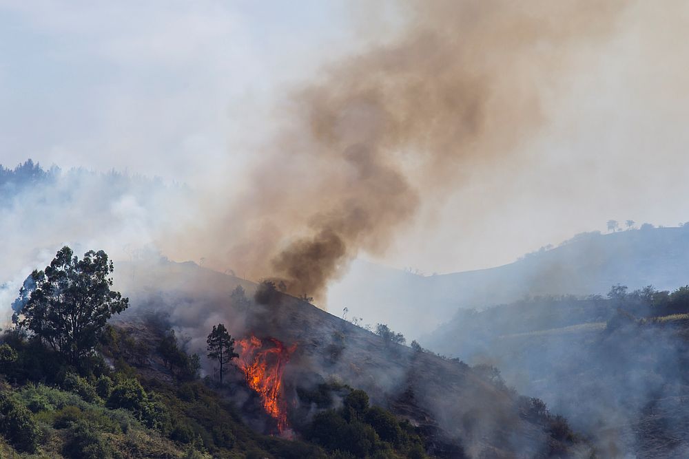 Flames and smoke from a forest fire seen in the village of Guia, in the Canary island of Gran Canaria, Spain August 19, 2019. u00e2u20acu201d Reuters pic