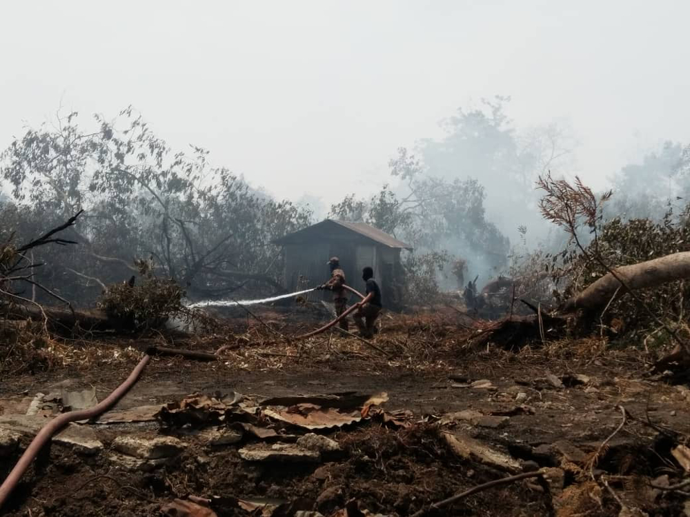 Firemen containing the secondary forest fire at Jalan Tanjung Kupang in Kampung Pekajang, Gelang Patah today. u00e2u20acu201d Picture courtesy of the Johor Fire and Rescue Department