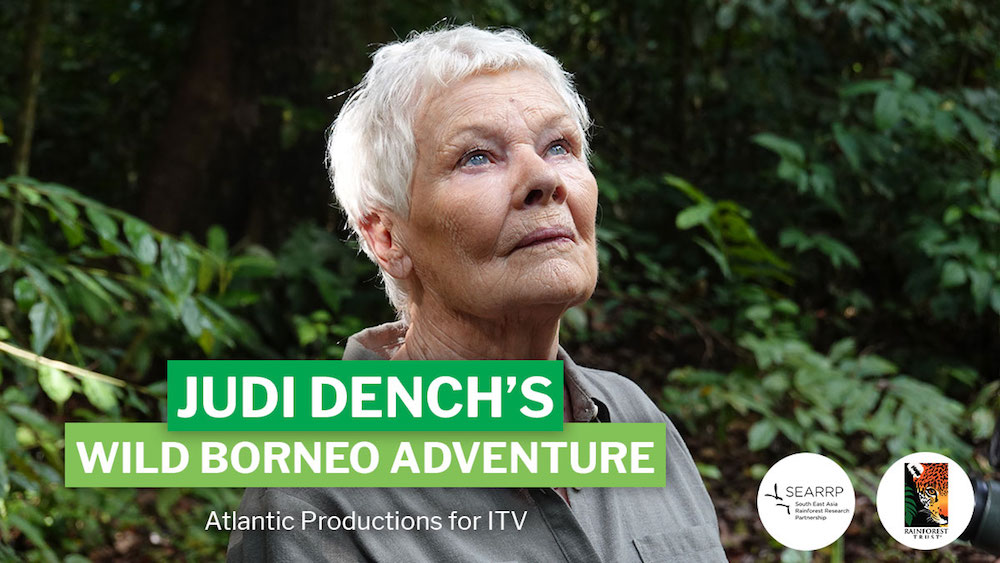 The Oscar-winning actress was in Sabah to film the documentary u00e2u20acu02dcJudi Denchu00e2u20acu2122s Wild Borneo Adventureu00e2u20acu2122 last April.