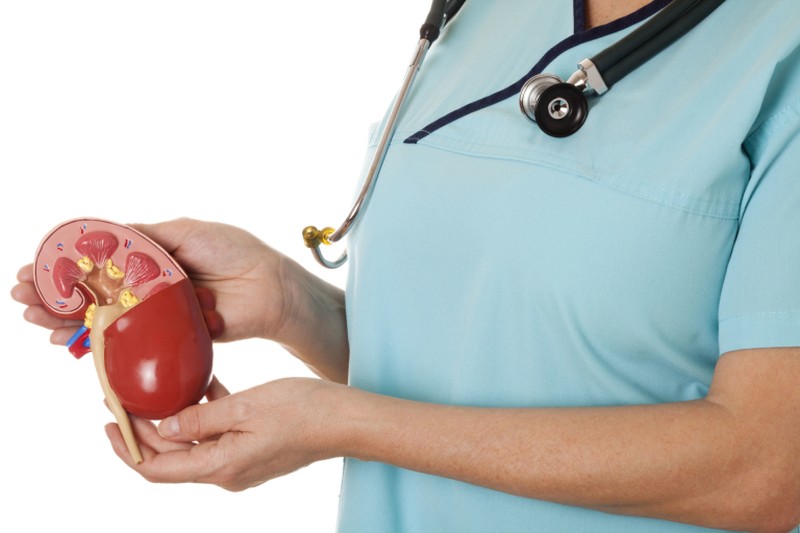 Five thousand Americans die each year while awaiting a kidney transplant, and there are about 90,000 currently on waiting lists. u00e2u20acu2022 IStock.com/AFP pic