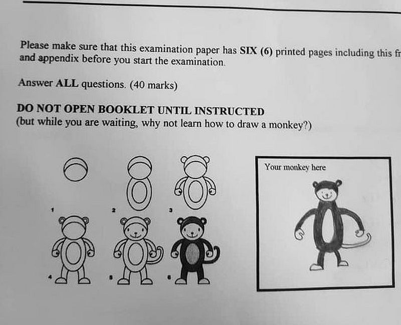 Reddit users were both amused and impressed by the instructions, adding that it would help some students with their anxiety over exams. u00e2u20acu201d Image from Reddit