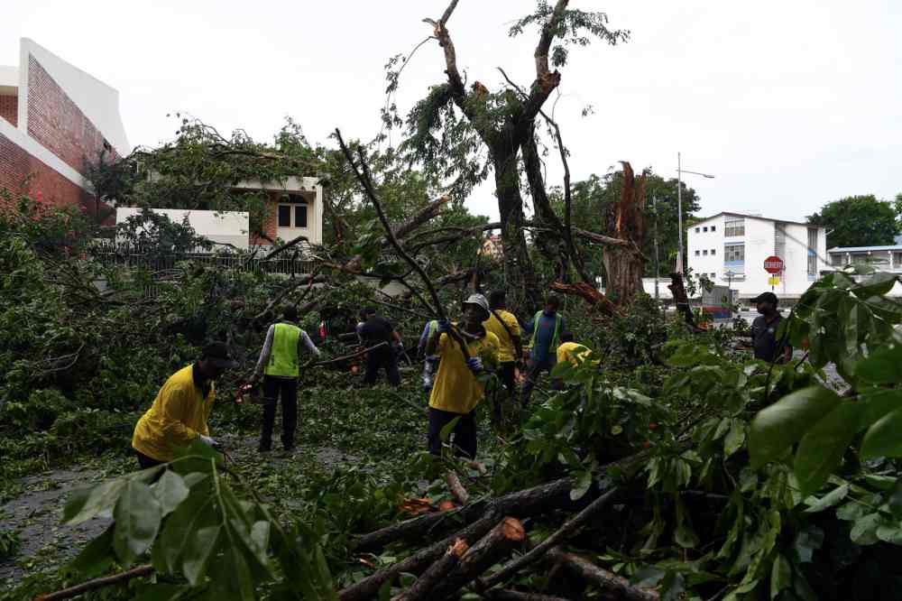 Workers clearing fallen trees due to a storm last night in George Town. u00e2u20acu201d Bernama pic