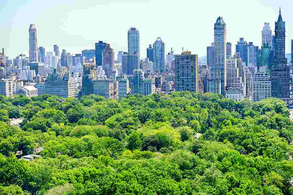 New research has found that visiting an urban park could help boost your mood. u00e2u20acu201d Lady-Photo/Istock.com pic via AFP