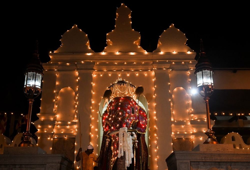 In this photograph taken on August 14, 2019 an elephant decorated for the u00e2u20acu02dcEsala Peraherau00e2u20acu2122 festival is lead past the Buddhist temple of the Tooth in the ancient hill capital of Kandy, some 116 km from Colombo. u00e2u20acu201d AFP pic