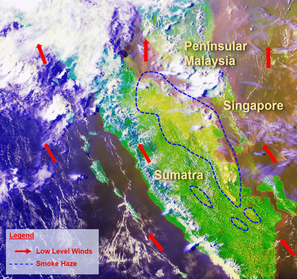 Significant build-up of smoke haze in the Indonesian provinces of Riau, Jambi, South Sumatra and Lampung, and also West, Central and South Kalimantan, was then carried over to the western parts of Peninsular Malaysia and Sarawak by winds. ― Picture courtesy of ASMC