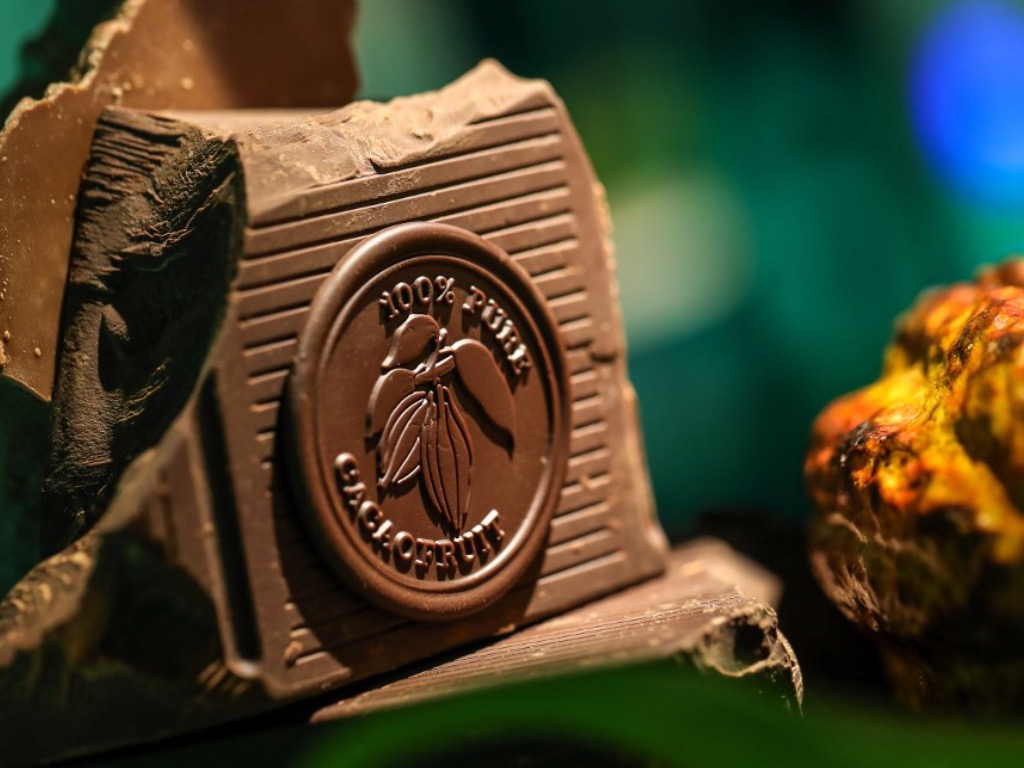 This undated and unlocated handout photo released by Barry Callebaut shows a new type of chocolate made entirely from the fruit of a cocoa tree. u00e2u20acu201d AFP pic