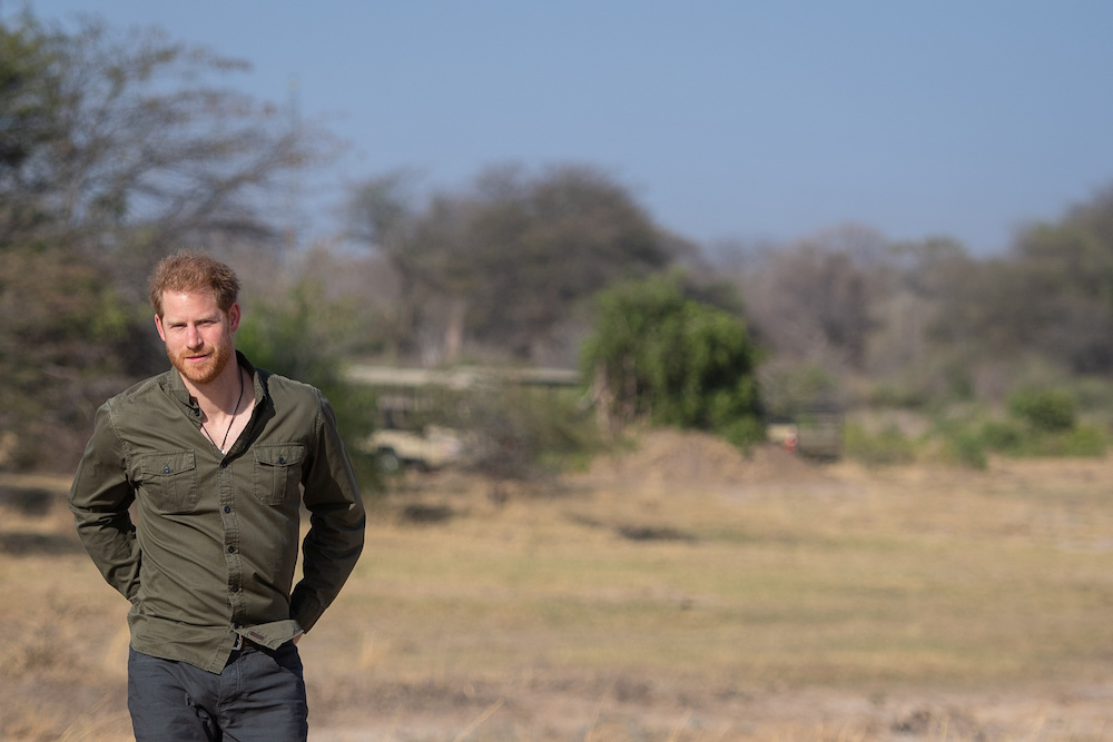 Britainu00e2u20acu2122s Prince Harry, Duke of Sussex, is seen during a tree planting event with local schoolchildren, at the Chobe National Park, Botswana, September 26, 2019. u00e2u20acu201d Reuters pic