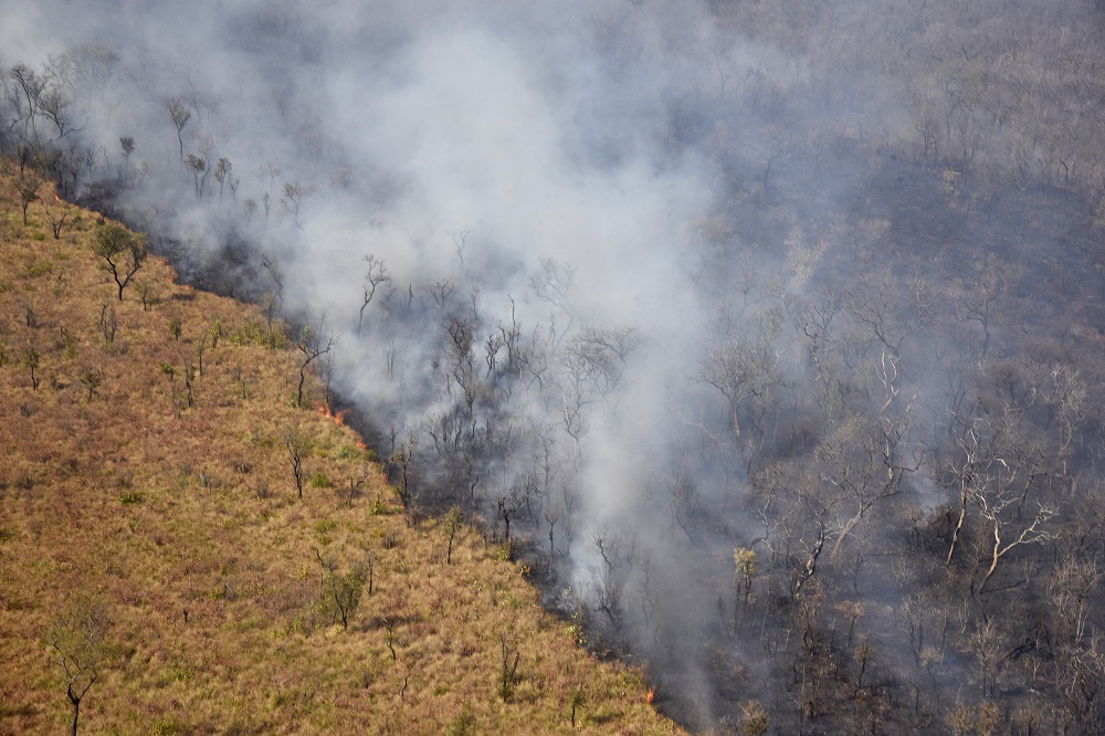 Aerial view of smoke billowing from a fire near Charagua in Bolivia, on the border with Paraguay, south of the Amazon basin August 29, 2019. u00e2u20acu201d AFP pic         