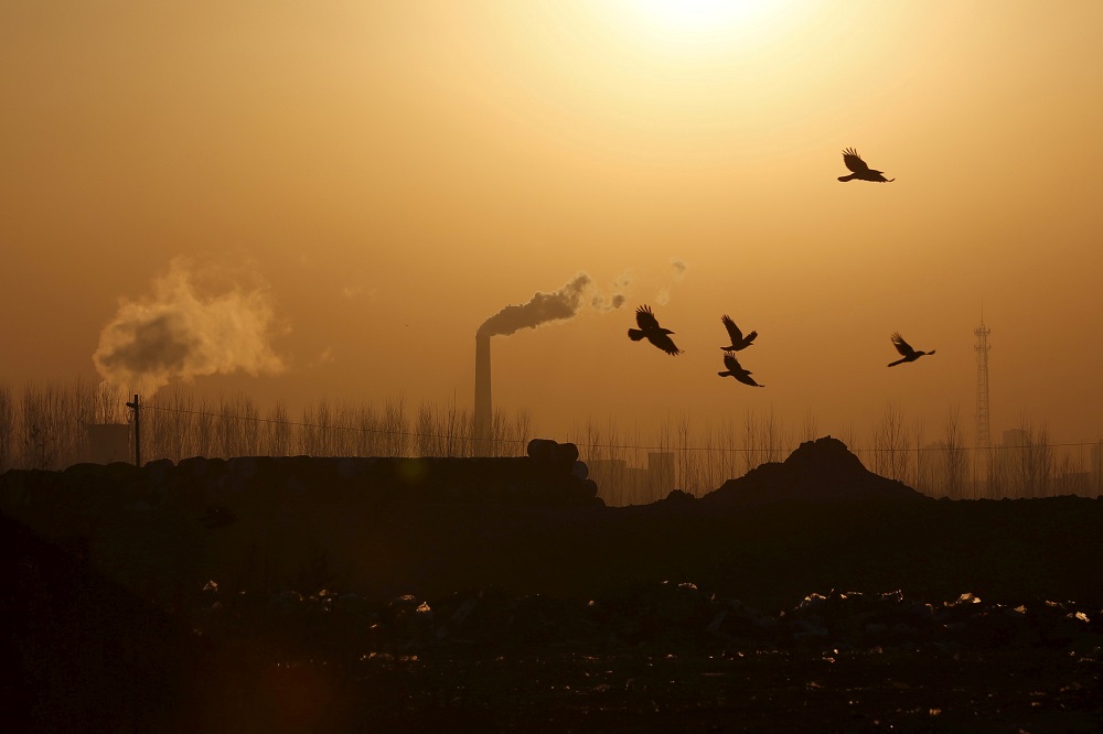 Birds fly over a closed steel factory where chimneys of another working factory are seen in background, in Tangshan, Hebei province, China February 27, 2016. u00e2u20acu201d Reuters pic