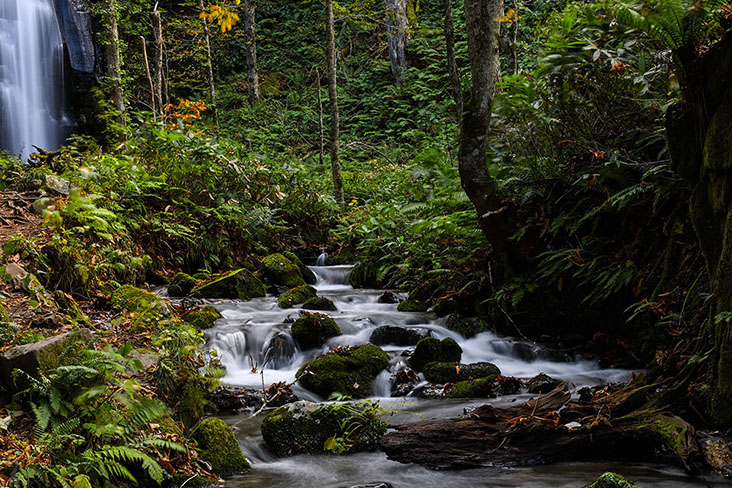 From waterfalls and rapids to gentle brooks, nothing stays stagnant along the hike