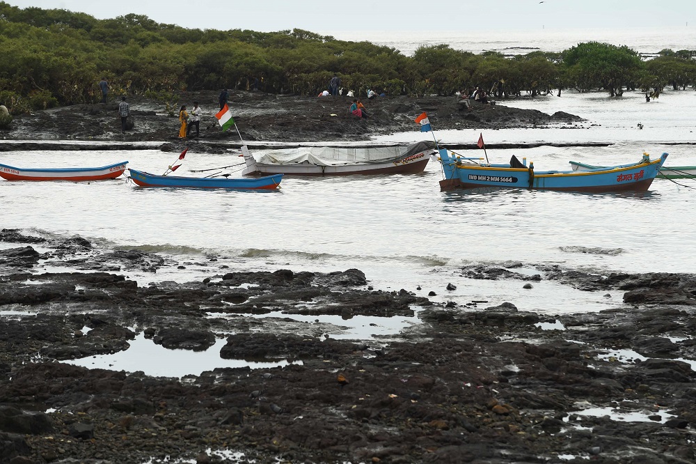 In this photograph taken on September 15, 2019, people walk past mangroves on the coast during low tide in Mumbai. u00e2u20acu201d AFP pic