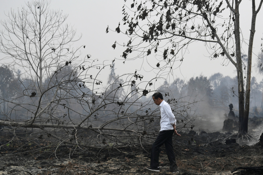Indonesian President Joko Widodo stands as he inspects burnt forest in Pelalawan, Riau province, Indonesia, September 17, 2019 in this photo taken by Antara Foto. u00e2u20acu201d Antara Foto/Puspa Perwitasari pic via Reuters 