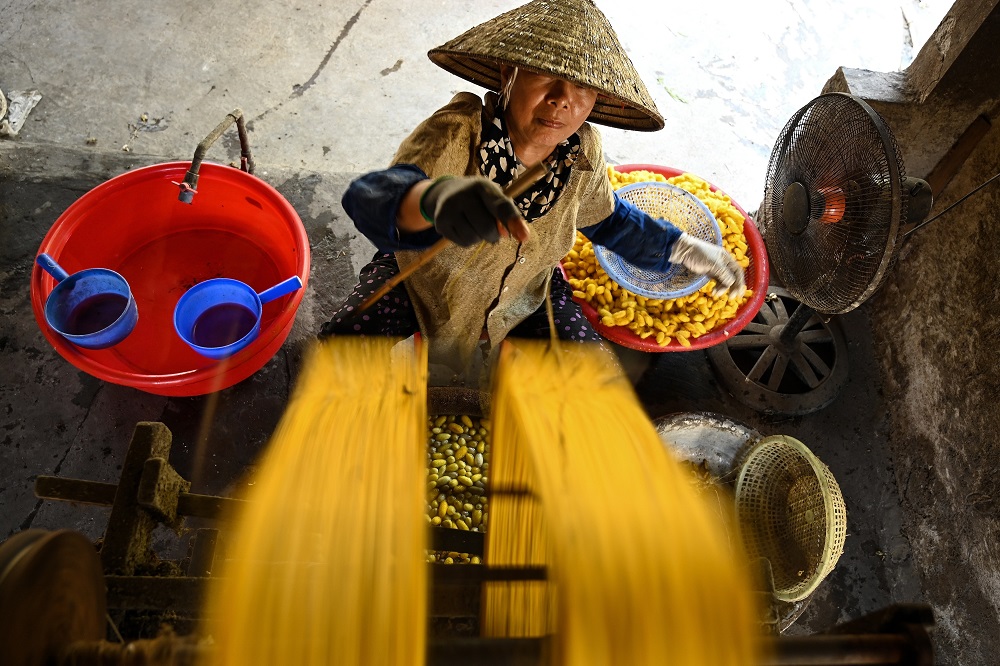 This photograph taken on September 17, 2019 shows a worker collecting yellow silk threads on a bobbin inside a workshop in Co Chat village in Vietnamu00e2u20acu2122s Nam Dinh province. u00e2u20acu201d AFP pic       