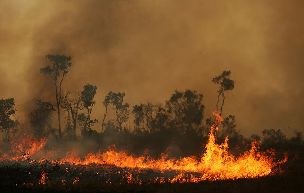 A fire is seen on a tract of Amazon jungle at Tenharim Marmelos Indigenous Land, Amazonas state, Brazil September 15, 2019. u00e2u20acu201d Reuters pic