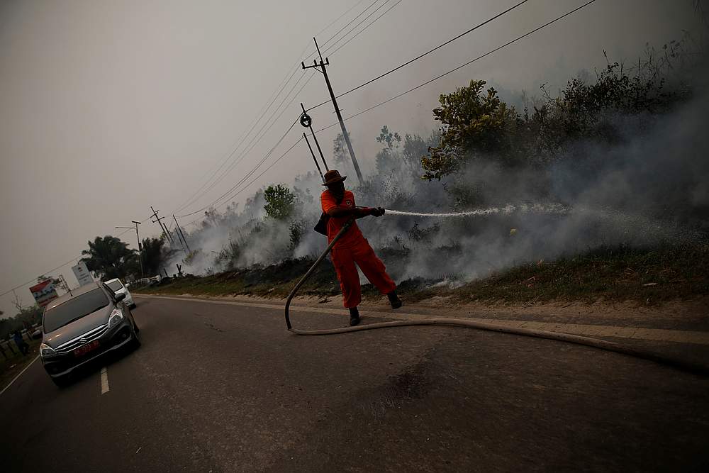A firefighter tries to extinguish fires on land near trans-Kalimantan road in the Sebangau district, Central Kalimantan province, Indonesia September 12, 2019. u00e2u20acu201d Reuters pic 