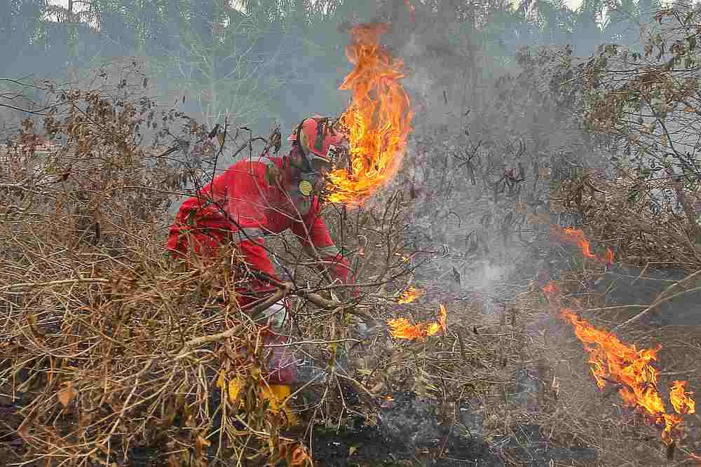 Fire fighters try to put out a fire at a peatland in Kampar, Riau province, Indonesia September 24, 2019. u00e2u20acu201d Antara Foto/Rony Muharrman via Reuters