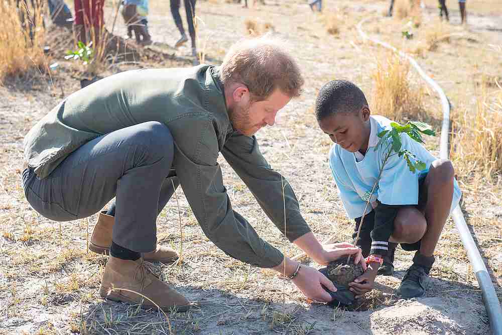 Britain's Prince Harry helps a local schoolboy to plant a tree at the Chobe National Park on day four of the royal tour of Africa in Botswana September 26, 2019. u00e2u20acu201d Dominic Lipinski/Pool pic via Reuters 