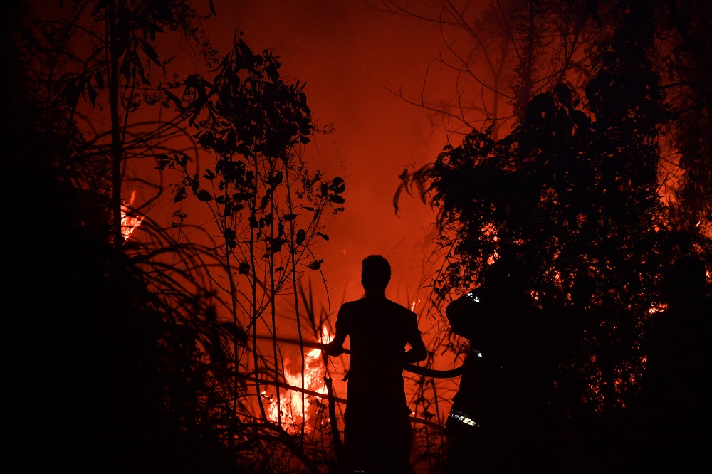 Indonesian fire fighters extinguish a fire in a land next to residence in Pekanbaru, Riau province on September 13, 2019 as the number of blazes in Indonesiau00e2u20acu2122s rainforests has jumped sharply. u00e2u20acu201d AFP pic         