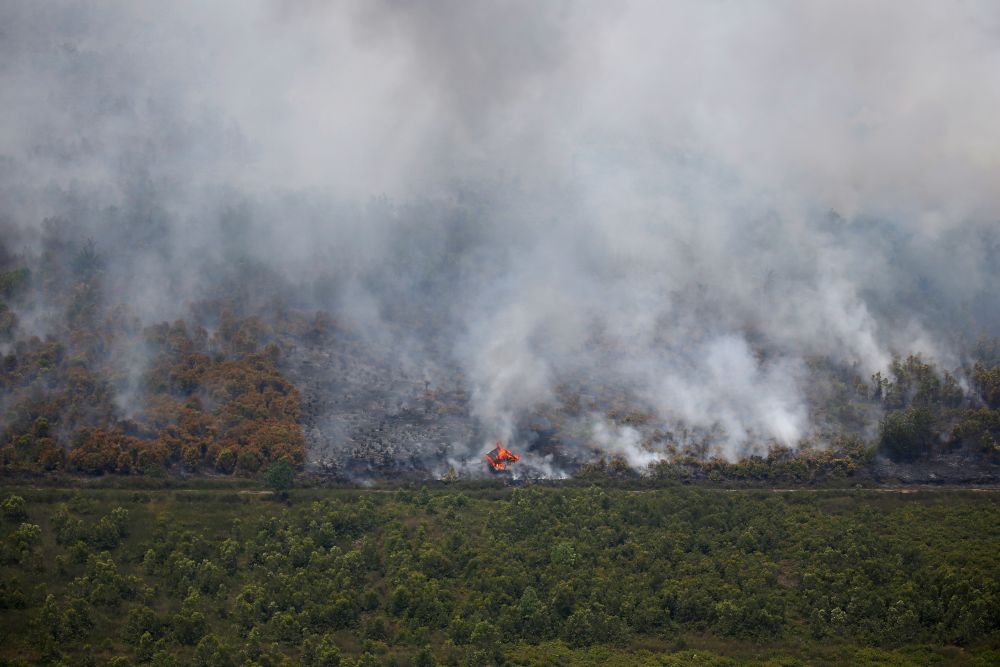 A wooden hut burns due to a forest fire in Palangka Raya, Central Kalimantan province, Indonesia, September 14, 2019.