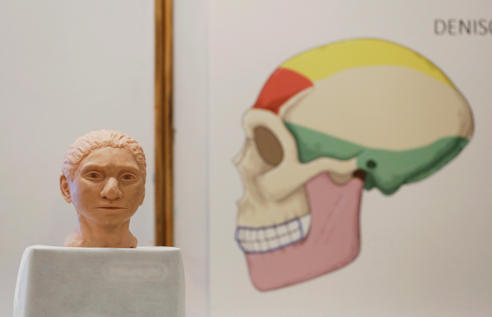 The artistic rendering of the head and face of a 13-year-old girl from the the prehistoric human species, Denisovan, based on technology developed by Hebrew University professor Liran Carmel and his team in Jerusalem September 19, 2019. u00e2u20acu201d Reuters pic