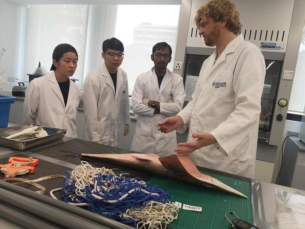 Neil Hutchinson, a shark and ray expert from James Cook Universityu00e2u20acu2122s Singapore campus, shows students how to measure the now critically endangered shovelnose ray. u00e2u20acu201d TODAY pic