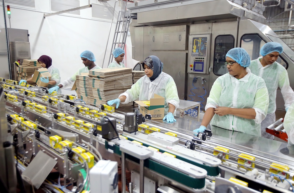 General view of M&S Food Industries Sdn Bhd in the Silibin Industrial Area in Ipoh October 3, 2019. u00e2u20acu201d Picture by Farhan Najib