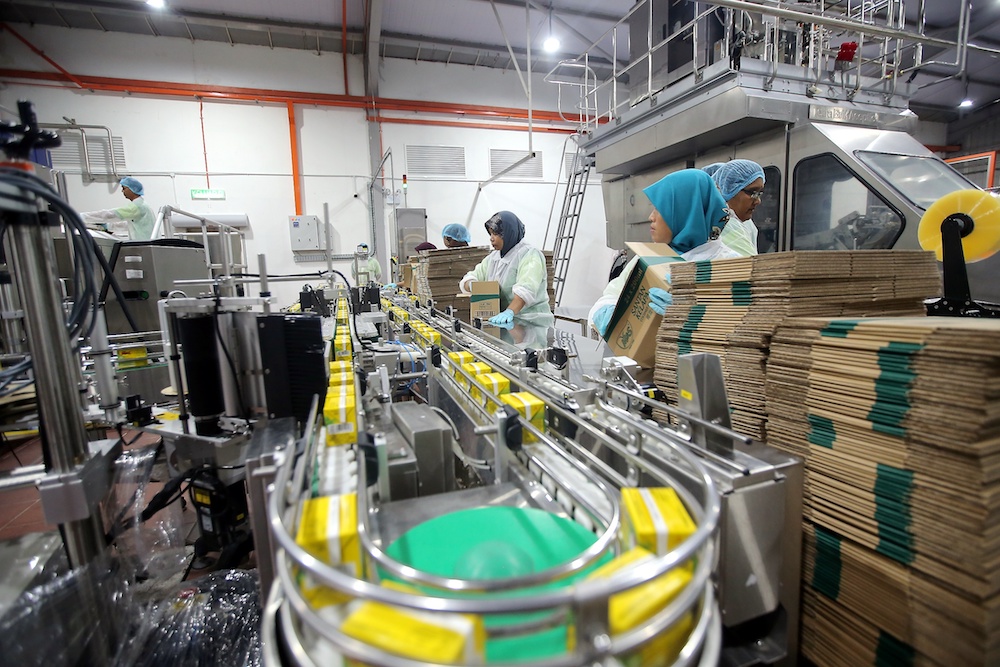 General view of M&S Food Industries Sdn Bhd in the Silibin Industrial Area in Ipoh October 3, 2019. u00e2u20acu201d Picture by Farhan Najib