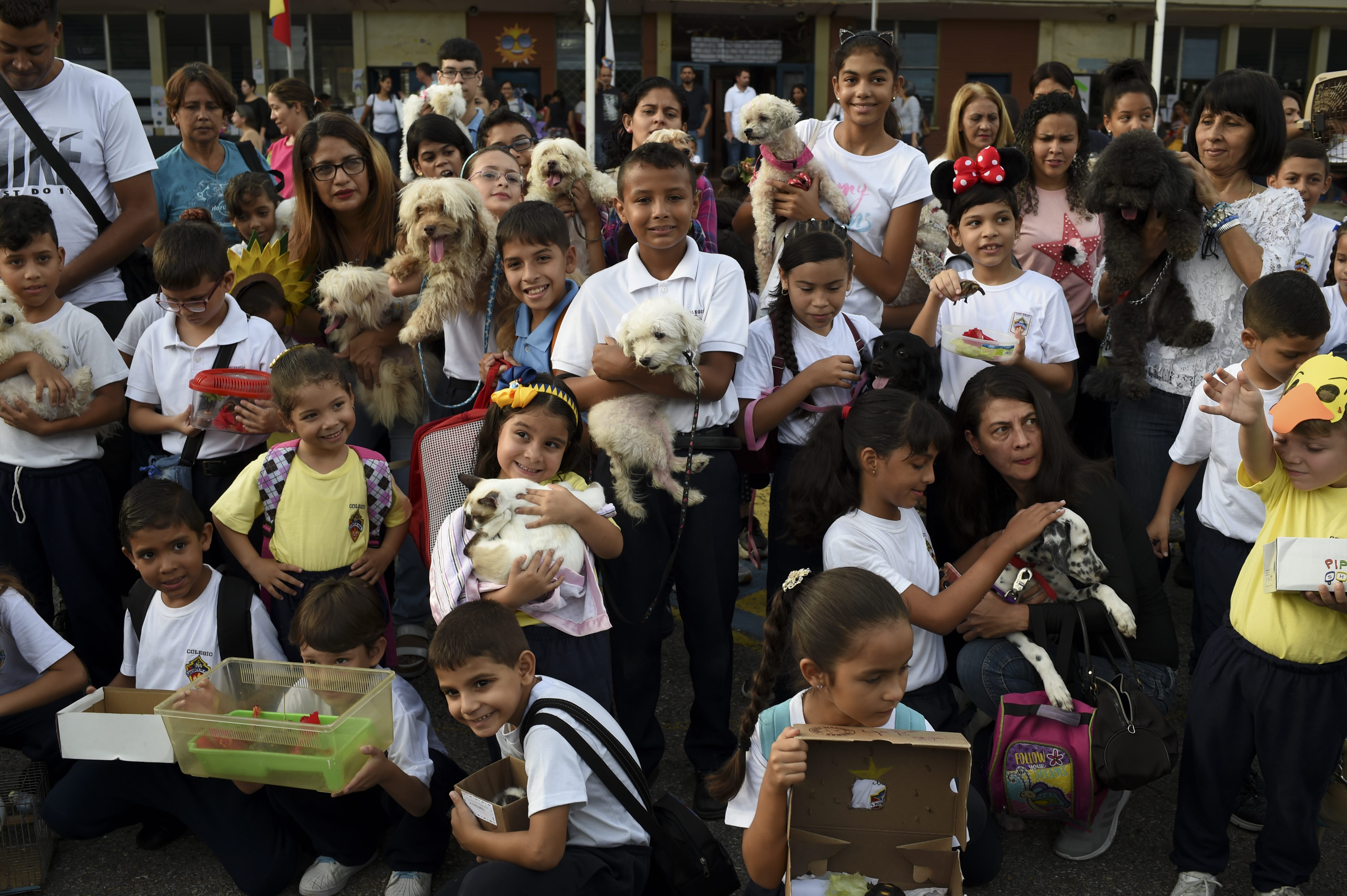 Faithfuls bring their pets to be blessed during World Animal Day in La Guaira, Venezuela, on October 4, 2019. u00e2u20acu201d AFP pic