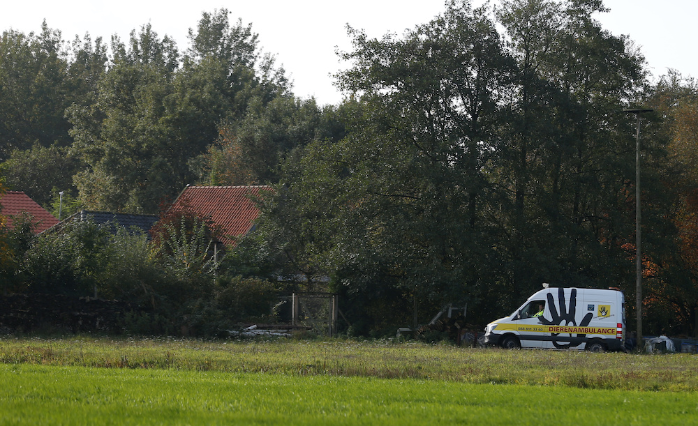 An animal ambulance is seen at the site of a remote farm where a family spent years locked away in a cellar, according to Dutch broadcasters' reports, in Ruinerwold, Netherlands October 16, 2019. u00e2u20acu201d Reuters pic