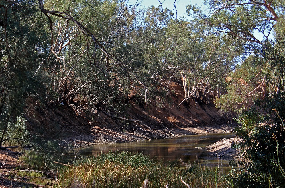 The drought-affected Darling River sits well below its banks at Pooncarie, a town in outback western New South Wales, Australia April 25, 2019. u00e2u20acu201d Reuters pic  