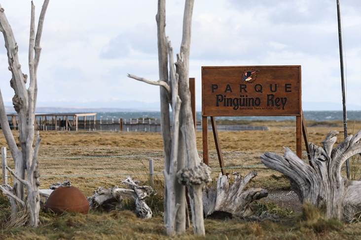 Welcome to the wilderness: The entrance to Parque Pingüino Rey.