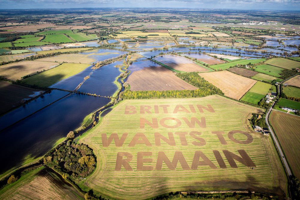 The words u00e2u20acu02dcBritain now wants to remainu00e2u20acu2122 cut by anti-Brexit group Led By Donkeys are seen in a field near Swindon, county Wiltshire, Britain October 16, 2019. u00e2u20acu201d Led By Donkeys picture via Reuters