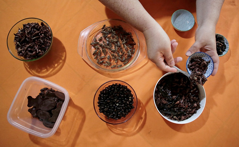 Gabriela Soto prepares insects for lunch, while her husband biologist Federico Paniagua (unseen) promotes the ingestion of a wide variety of insects as a low-cost and nutrient-rich food, in Grecia, Costa Rica July 13, 2019. u00e2u20acu2022 Reuters pic