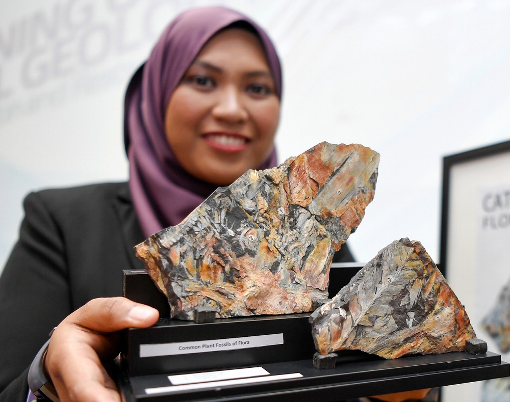 A lecturer from Universiti Malaysia Terengganuu00e2u20acu2122s Faculty of Science and Marine Environment holds up the 300 million-year-old plant fossil during a handover ceremony in Kuala Nerus October 22, 2019. u00e2u20acu201d Bernama pic