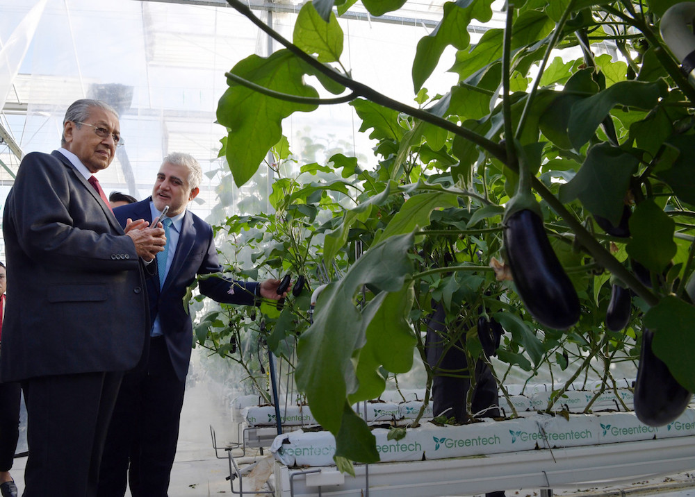 Prime Minister Tun Dr Mahathir Mohamad listens to a briefing by Azersunu00e2u20acu2122s Vice-President Tahir Goozal while visiting Greentech Farm in Baku October 26, 2019. u00e2u20acu201d Bernama pic