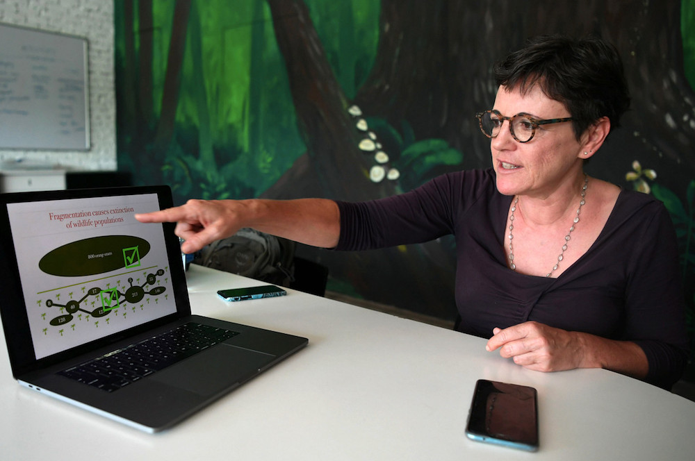 HUTAN director Dr Isabelle Lackman points to a plan of the proposed elephant corridor in Kota Kinabalu October 28, 2019. u00e2u20acu201d Bernama pic