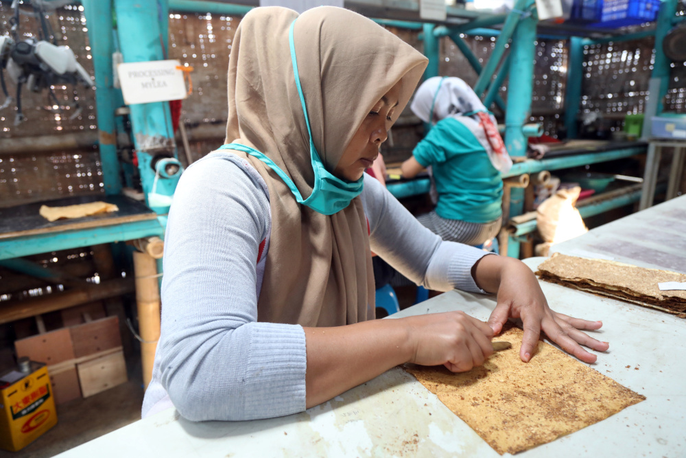 A worker prepares mycelium leather to be used for local products at Mycotech Eco Factory in West Bandung, West Java province, Indonesia, October 14, 2019. — Reuters pic