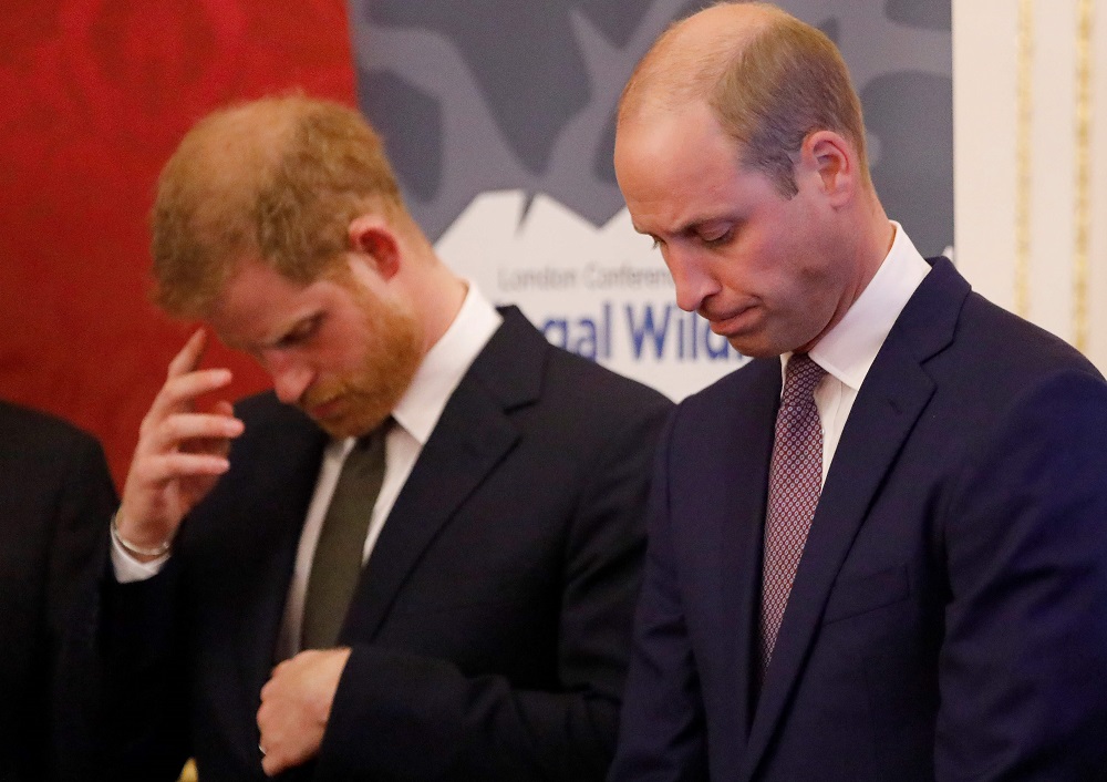 In this file photo taken on October 10, 2018, Britainu00e2u20acu2122s Prince William, Duke of Cambridge (right) and Prince Harry, Duke of Sussex, host a reception to open the 2018 Illegal Wildlife Trade Conference at St Jamesu00e2u20acu2122 Palace in London. u00e2u20acu201d AFP pic