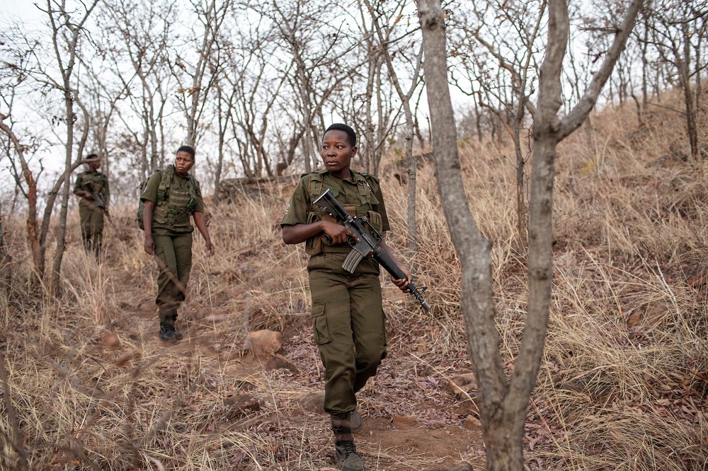 International Anti Poaching Foundation rangers stage a patrol to show their operational skills at The Akashinga Project Base Camp in Phundundu, Zimbabwe September 17, 2019. u00e2u20acu201d AFP pic      