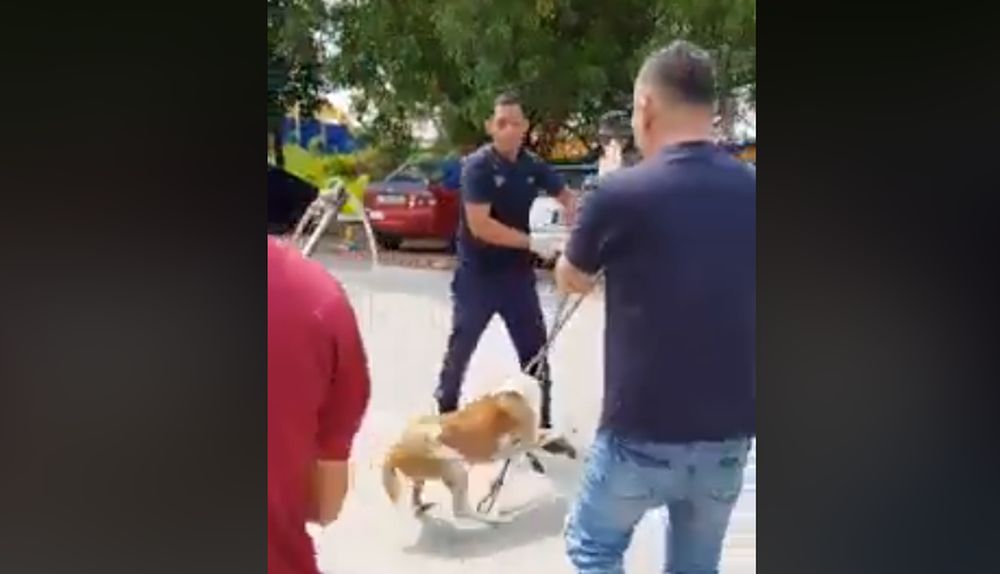 MPSJ officials dragging a stray dog to their van, as it cries in pain, despite a manu00e2u20acu2122s efforts to stop them. u00e2u20acu201d Screengrab via Facebook/We Are Malaysian
