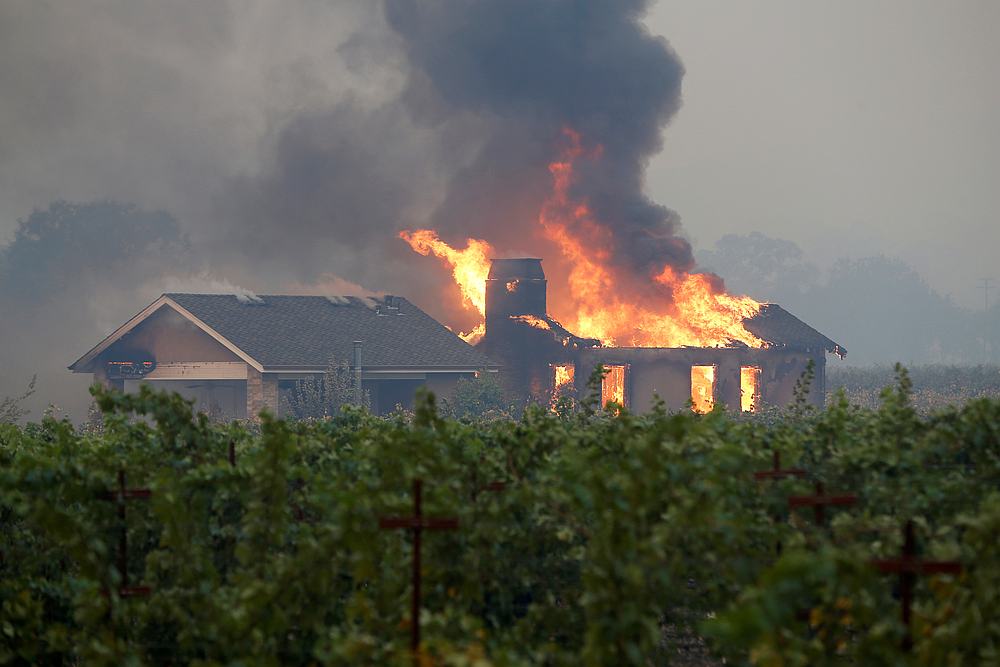 A burning structure is seen in the middle of a vineyard during the Kincade fire in Geyserville, CaliforniaOctober 24, 2019. u00e2u20acu201d Reuters pic