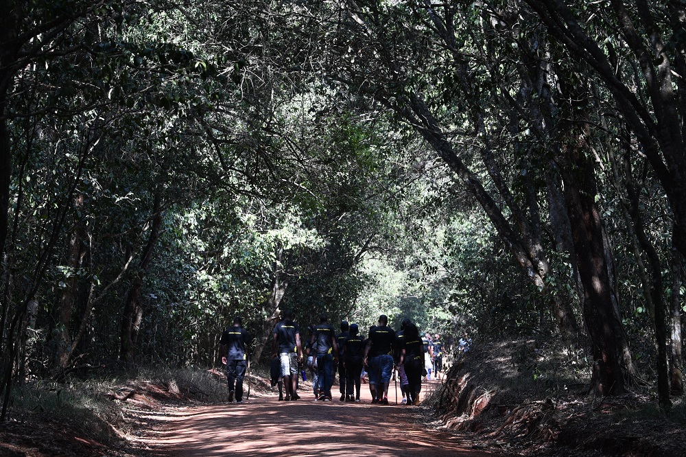 A group of people walking in Karura forest, Nairobi September 17, 2019. u00e2u20acu201d AFP pic        