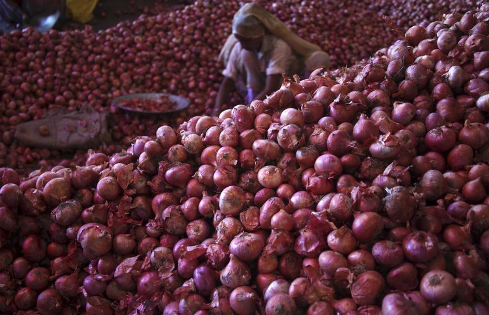 A worker sorts onions at a wholesale vegetable market in Chandigarh, July 24, 2015. u00e2u20acu201d Reuters pic
