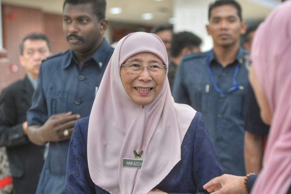Deputy Prime Minister Datuk Seri Dr Wan Azizah Wan Ismail speaks during a press conference at the Parliament lobby, October 15, 2019. u00e2u20acu2022 Picture by Ahmad Zamzahuri