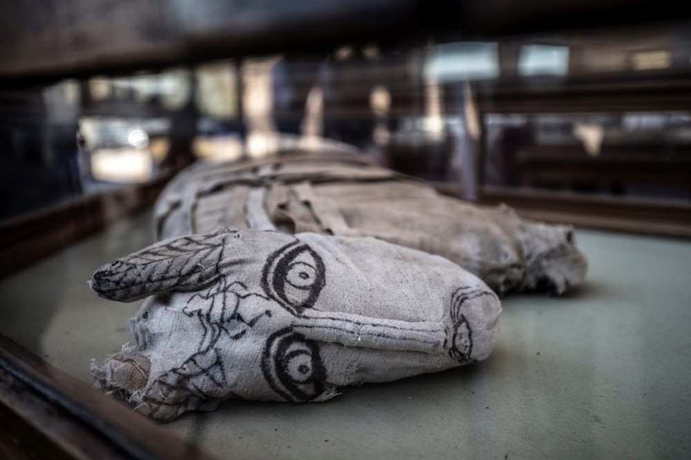 The mummy of a feline is displayed after the announcement of a new discovery carried out by an Egyptian archaeological team in Gizau00e2u20acu2122s Saqqara necropolis, south of the capital Cairo, November 23, 2019. u00e2u20acu201d AFP pic