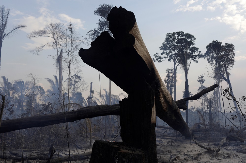 A burning tract of the Amazon forest as it is cleared by farmers, in Rio Pardo, Rondonia, Brazil September 16, 2019. u00e2u20acu201d Reuters pic